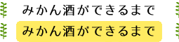 みかん酒ができるまで